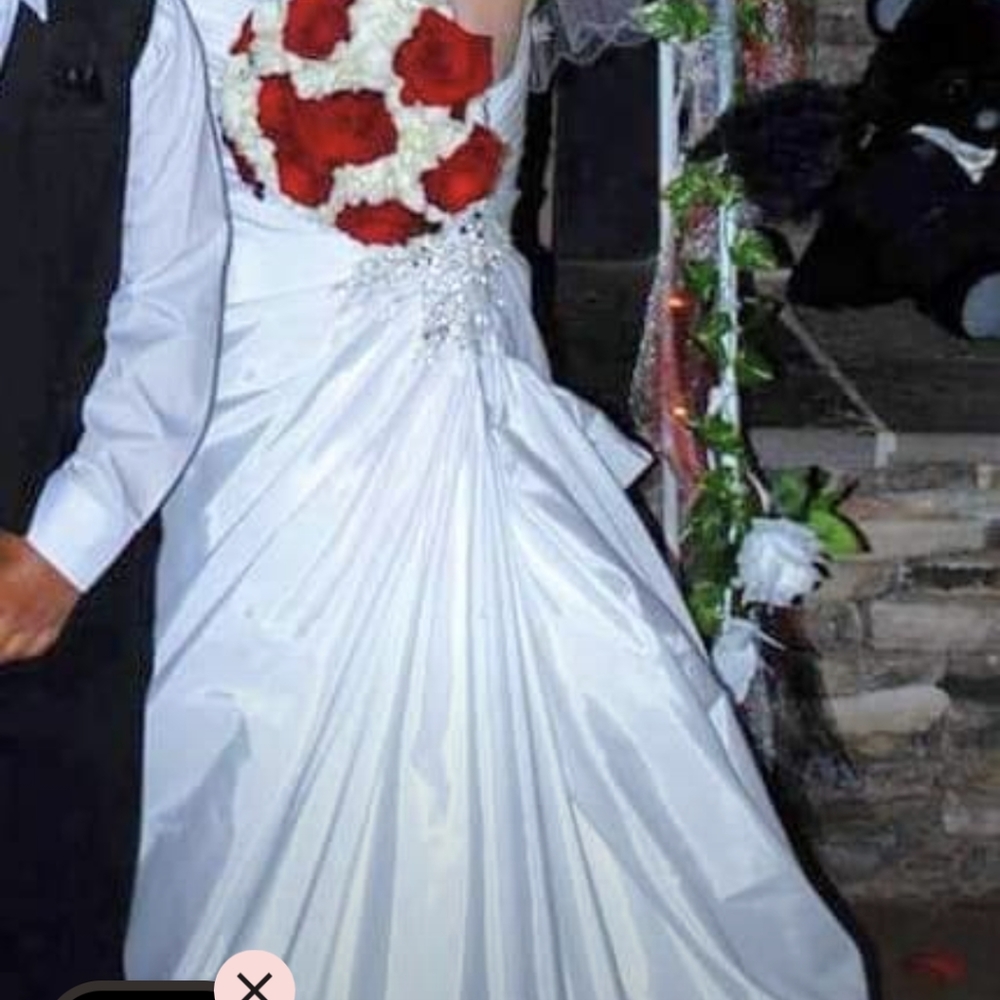 David's Bridal Mermaid Wedding Dress - Picture 4 of 4